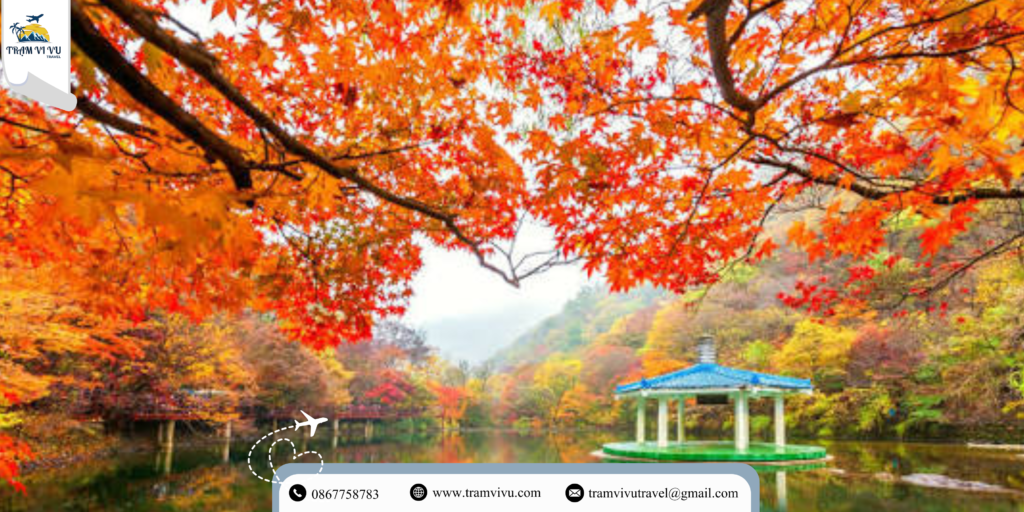 du-lich-han-quoc-thang-may-dep-mua-xuan-mua-thu