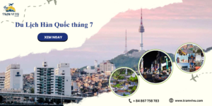 BÌA ĐẠI DIỆN BÀI VIẾT