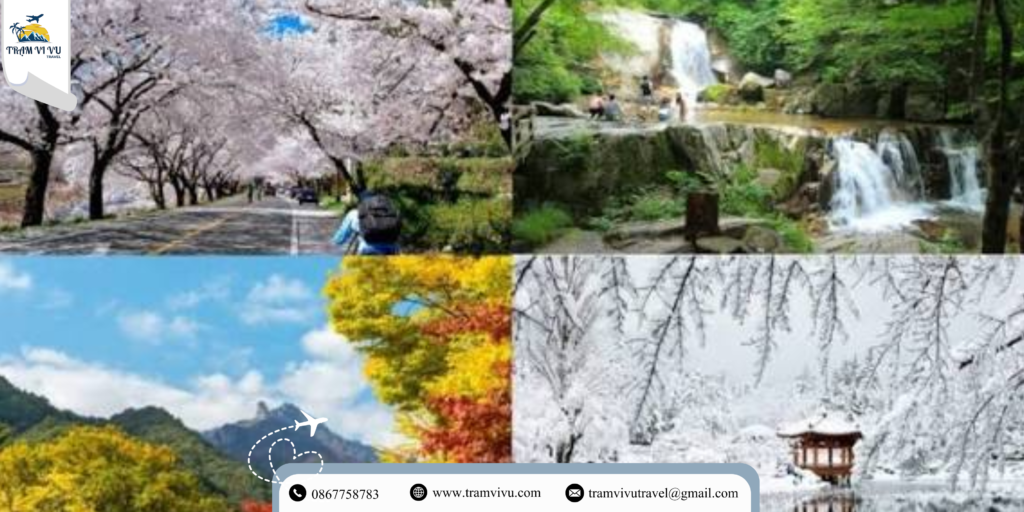du-lich-han-quoc-thang-may-dep-thoi-tiet-de-chiu