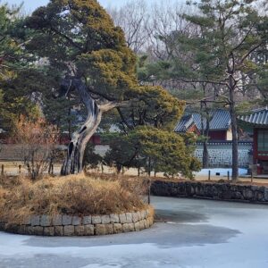 Du lịch Hàn Quốc dịp lễ 30/4: Tour Busan - Seoul Hàn Quốc 6 ngày 5 đêm